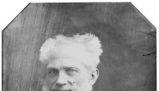 Schopenhauer e la musica: l'arte come espressione della volontà universale