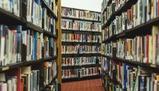 Evoluzione storica e paradigmi della sociologia moderna