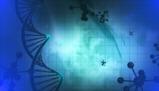 Esplorazione dettagliata della struttura e funzione dei nucleotidi