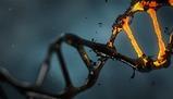 Descrizione delle mutazioni genetiche e loro impatto sulla popolazione