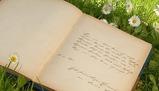Riflessioni su solitudine e gioventù in Leopardi e il passero