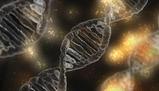 Struttura, funzione e variabilità dei geni nel DNA