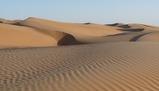 Adattamenti e sfide nel deserto: piante, animali e popolazioni umane