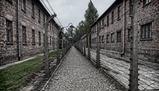 Auschwitz spiegato a mia figlia - Annette Wieviorka