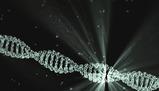 Analisi dettagliata del DNA: duplicazione, struttura e correzione errori