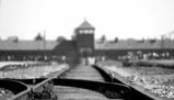 Giorno della Memoria: perché viene istituito e che cosa dobbiamo ricordare