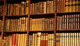 L'importanza della storia e testimonianza nei romanzi dell'800