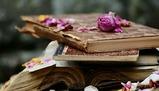 La vita e le opere di Lev Tolstoj: un viaggio tra Guerra e Pace e Anna Karenina