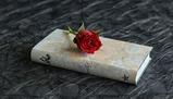 Guida all'analisi del testo poetico: figure retoriche e strutture