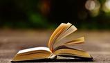 Poesia latina - Regole e Storia