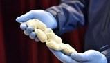 Il complesso intreccio del narcotraffico globale e le sue sfide