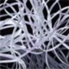 Creatività : la definizione di Poincaré