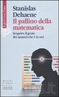 Esplorando il genio matematico: connessioni tra cervello e numeri