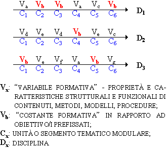 Modularità e Didattica: Ricerca metodologico-disciplinare nella costruzione modulare 