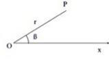 Esplorazione delle curve matematiche: un viaggio tra storia e geometria