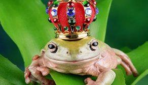 Bellezza fisica: conta davvero in amore?