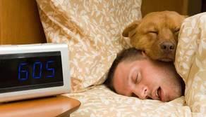 Niente stress se vai a letto presto: ecco perché