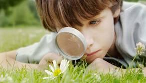 A scuola si studierà la raccolta differenziata