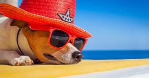 Bye bye maturità: ecco come dovrebbe essere la vita post esami!