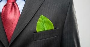 Bando Green Jobs: disponibili 150 stage retribuiti da 6 mesi