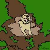 I 10 insegnamenti sulla vita che solo il tuo cane può trasmetterti