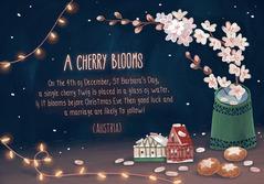 Le tradizioni natalizie in tutto il mondo riassunte in 20 immagini