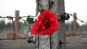 Il prof nega la Shoah? Rischia la prigione