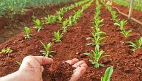 Seconda prova Agraria: simulazioni e guida Maturità