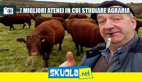 7 migliori atenei dove studiare Agraria