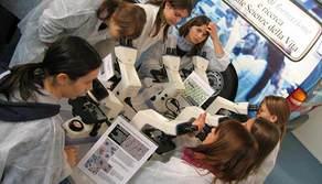 Istituti tecnici tecnologici migliori d'Italia