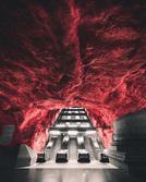 20 foto simmetriche che tutti i perfezionisti ameranno alla follia