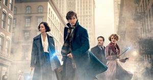 5 motivi per cui i veri fan di Harry Potter ameranno "Animali Fantastici e dove trovarli"