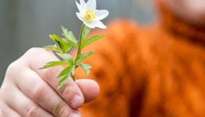 DonoDay2016: vota il tuo video preferito!