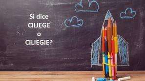 Guida pratica per evitare errori comuni nel plurale delle parole italiane