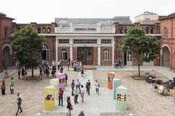 Che cosa farai dopo le superiori?