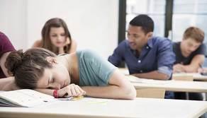 Come scegliere il compagno di banco perfetto?