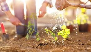 Ritardo a scuola? Il preside ti manda a zappare la terra