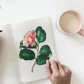 Frasi per la laurea: auguri divertenti, citazioni famose e congratulazioni non banali