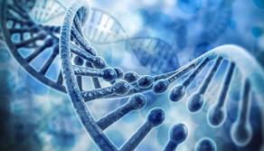 Commissari esterni Chimica materiali e biotecnologie Maturità 2020: nomi e materie