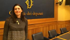 Elezioni 2018: il programma di Forza Italia per la scuola e l'università