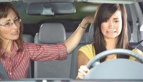 Foglio rosa: cos’è, come funziona e come prenderlo