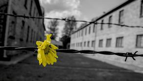 Perché il Giorno della Memoria si celebra il 27 gennaio?