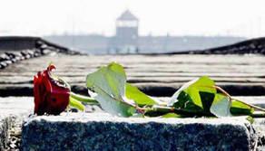 Giorno della Memoria: le frasi e le testimonianze per non dimenticare