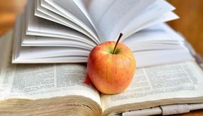 Soluzioni simulazione prima prova 2019: tutte le tracce svolte del 26 marzo per la maturità