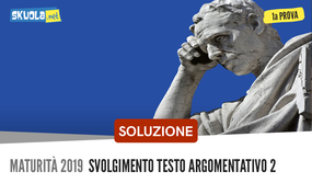 Soluzione testo argomentativo sull'illusione della conoscenza: tipologia B prima prova maturità 2019