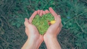 "Vi teniamo d'occhio": il libro che spiega cosa possono fare i giovani (e non solo) per salvare il Pianeta