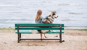Ecco perché il cane è il miglior amico dell'uomo