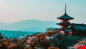 Fare un viaggio in Giappone quest'anno costerà la metà (o quasi)