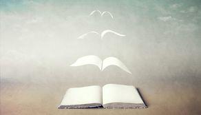 Schopenhauer: collegamenti interdisciplinari Maturità 2020, come farli