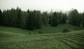Boom di scuole clandestine no-vax nei boschi in Alto Adige